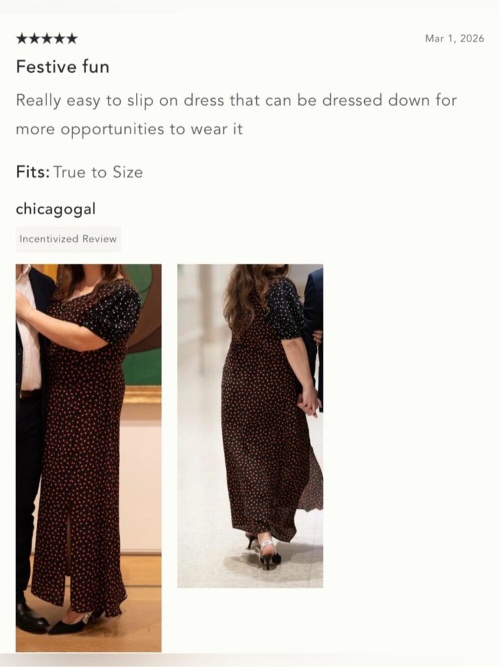 NWT Size LP - Anthropologie Heart double Slit Maxi Dress (NWT US$ 168) - Picture 8 of 16